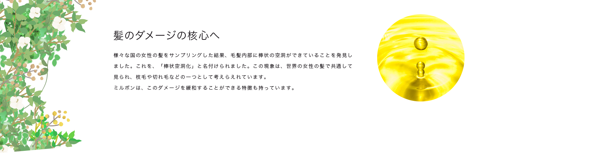 髪のダメージの核心へ